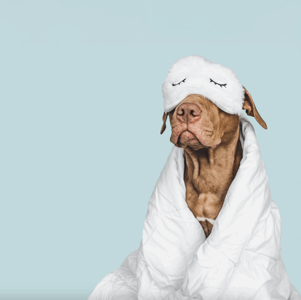 Augenmeditation